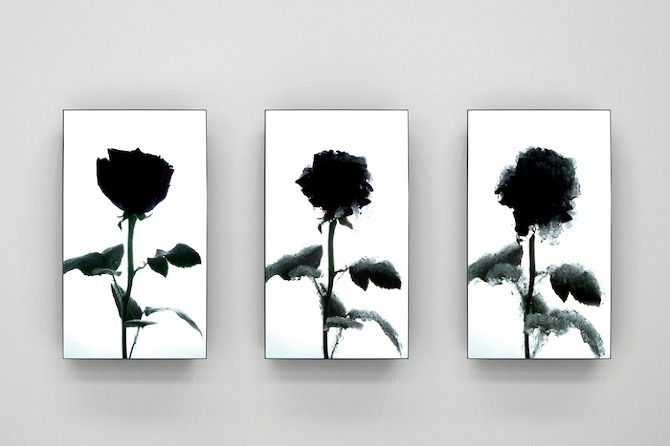  Maison & Objet 2012 by Tokujin Yoshioka on thisispaper.com